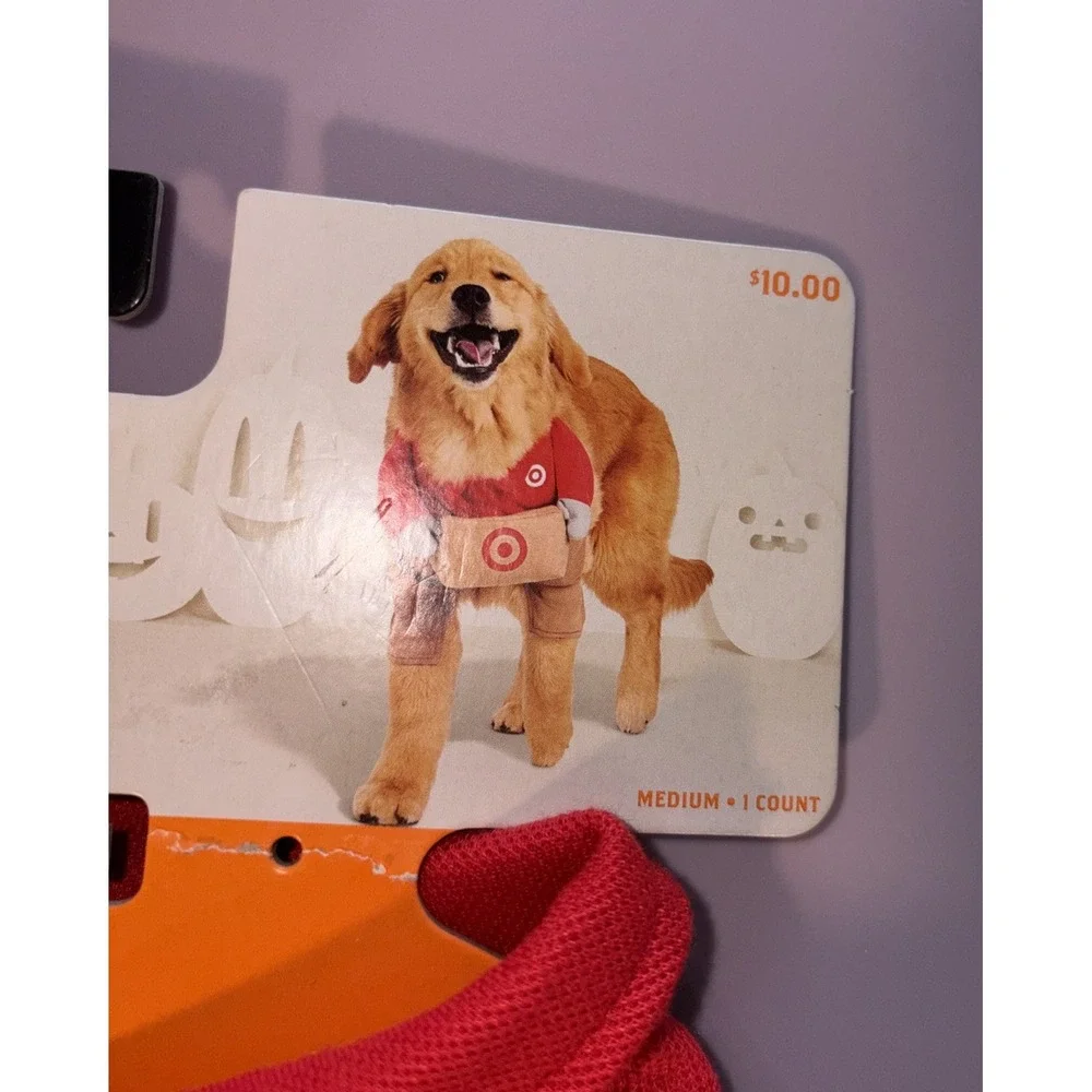 Hyde & Eek Target Delivery Worker Costume - Dog - Medium